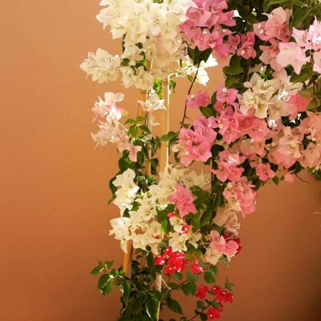 Riad Dar Asam 마라케시 외부 사진